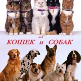 Гостиница для кошек и собак Сладкая жизнь Фото 2 на проекте VetSpravka.ru