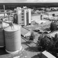 Чебаркульская птица Фото 2 на проекте Magnitogorsk.vetspravka.ru Чебаркульская птица Фото 2 на проекте Magnitogorsk.vetspravka.ru