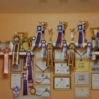 Салон красоты для животных Зверский стиль на проекте Magnitogorsk.vetspravka.ru Салон красоты для животных Зверский стиль на проекте Magnitogorsk.vetspravka.ru